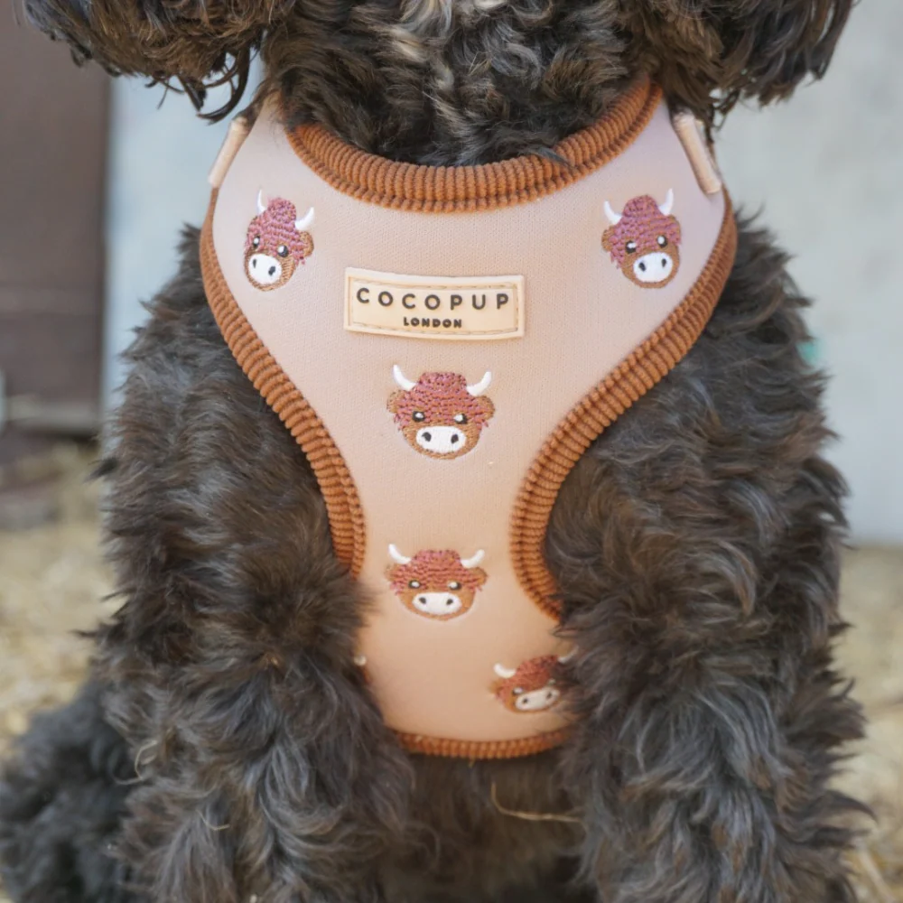 Harold the Highland Cow Adjustable Neck Harness, Lead & Collar Bundle - Image 8