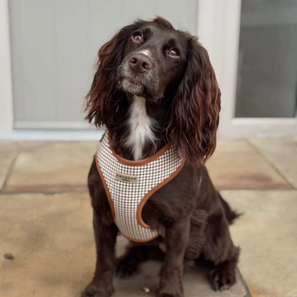 Heritage Check Adjustable Neck HARNESS - Image 2