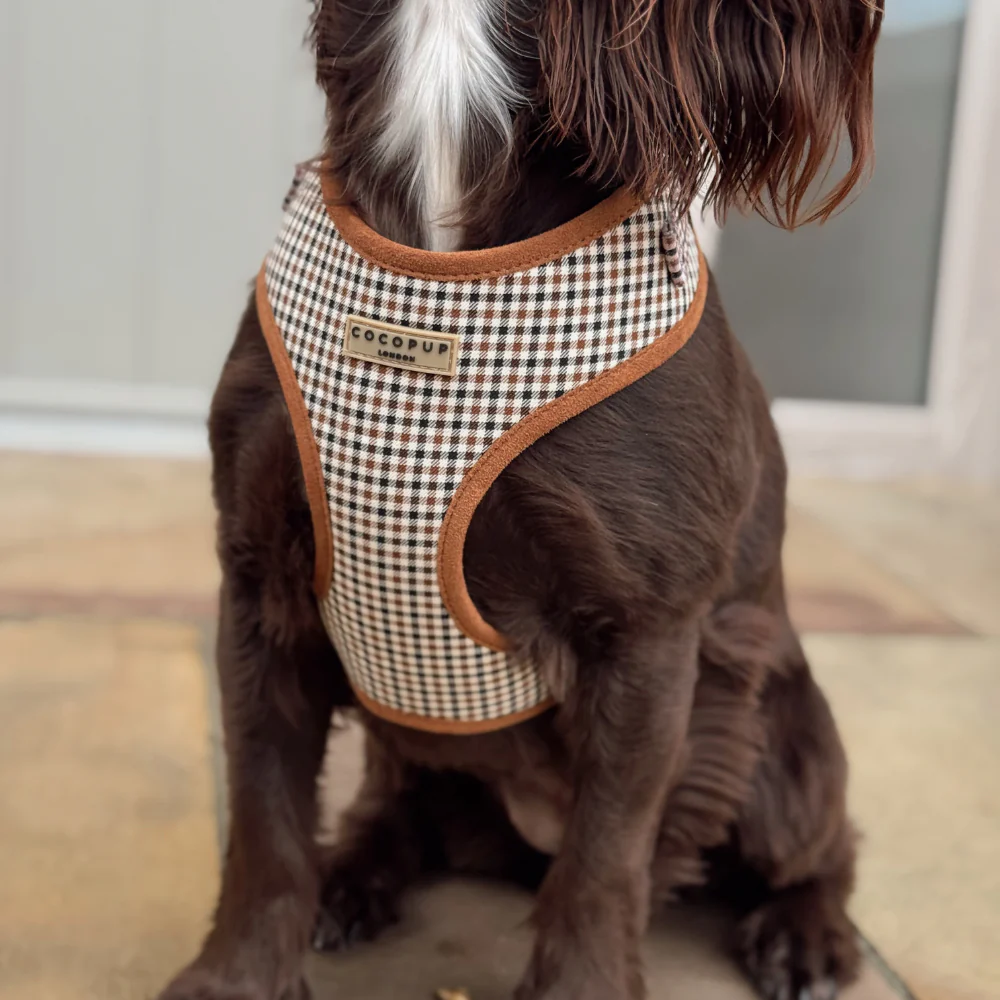 Heritage Check Adjustable Neck HARNESS - Image 8