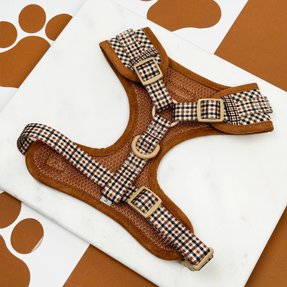 Heritage Check Adjustable Neck Harness, Lead & Collar Bundle - Image 8