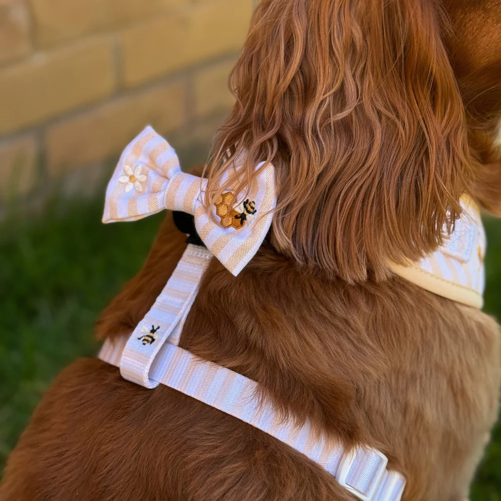 Honey Meadow Bow Tie - Image 3