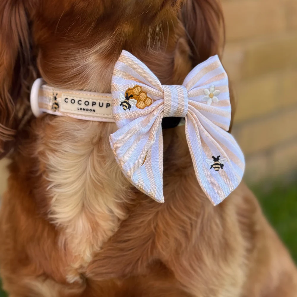 Honey Meadow COLLAR - Image 3
