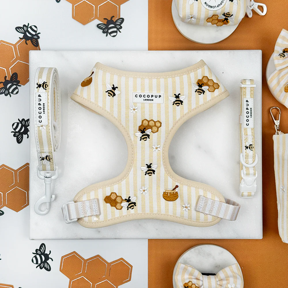 Honey Meadow Adjustable Neck Harness, Lead & Collar Bundle - Image 7