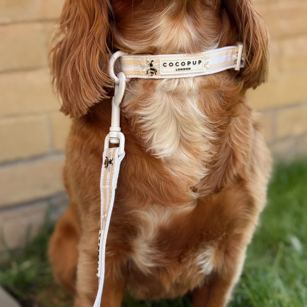 Honey Meadow COLLAR - Image 2