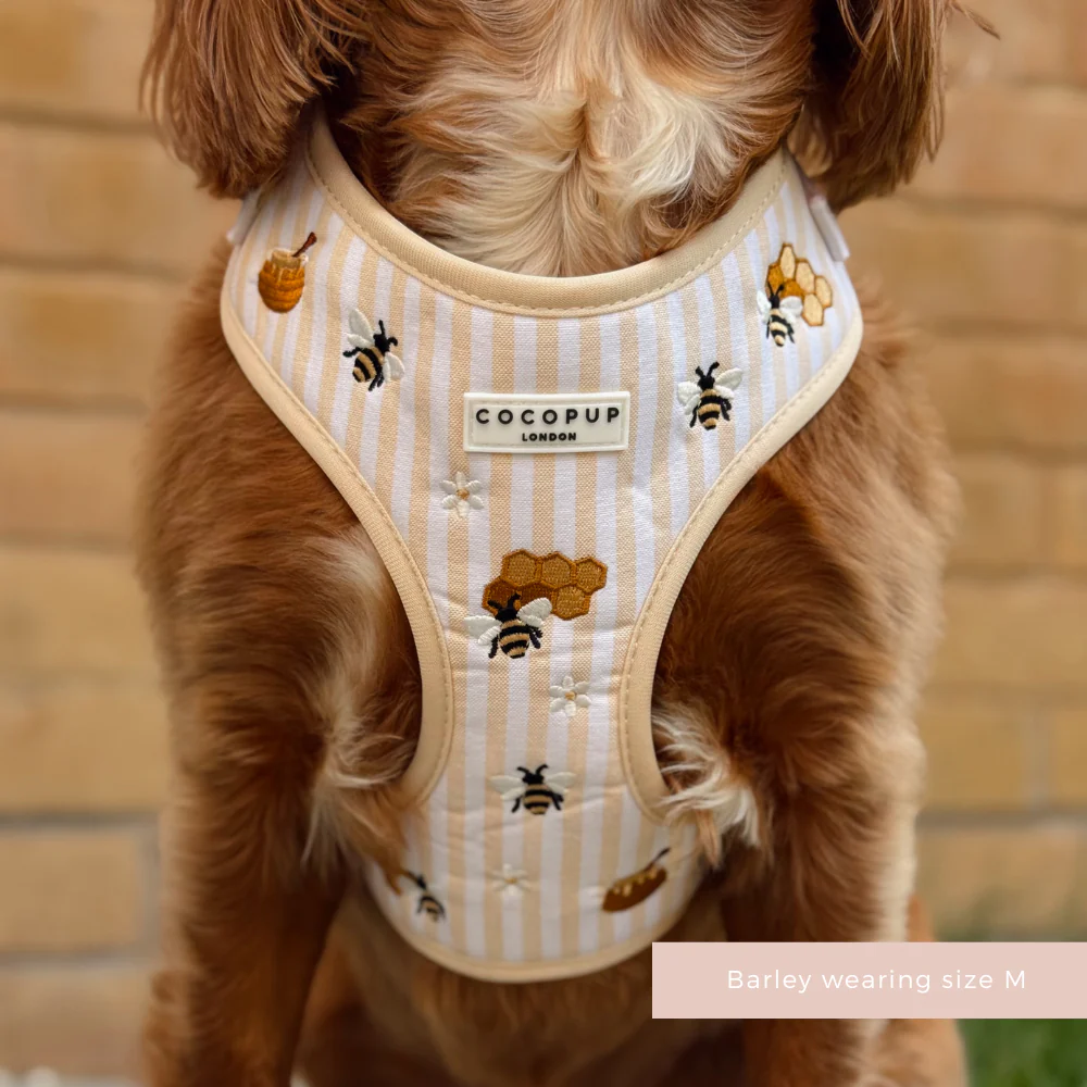 Honey Meadow Adjustable Neck HARNESS - Image 4