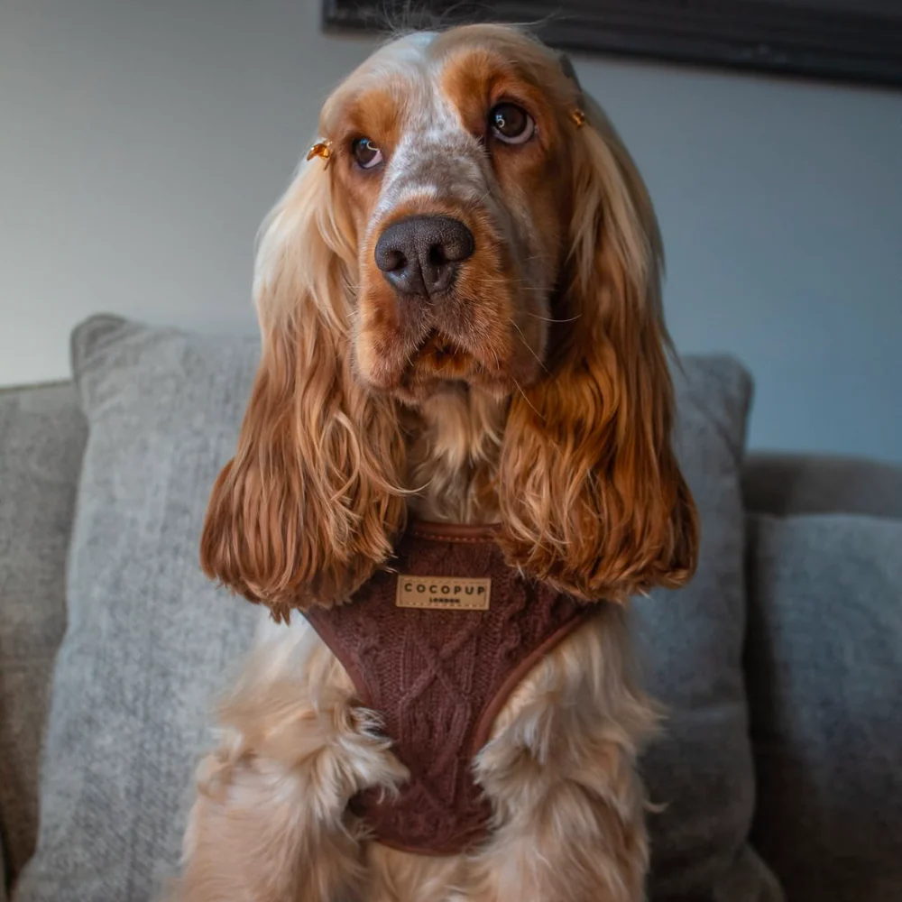 Hot Coco Cable Knit Adjustable Neck Harness, Lead & Collar Bundle - Image 13
