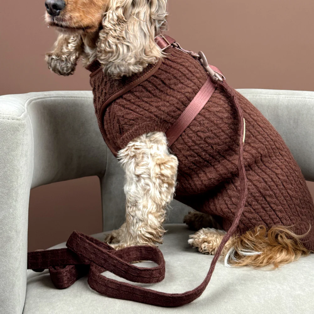 Cable Knit Lead - Hot Coco - Image 4