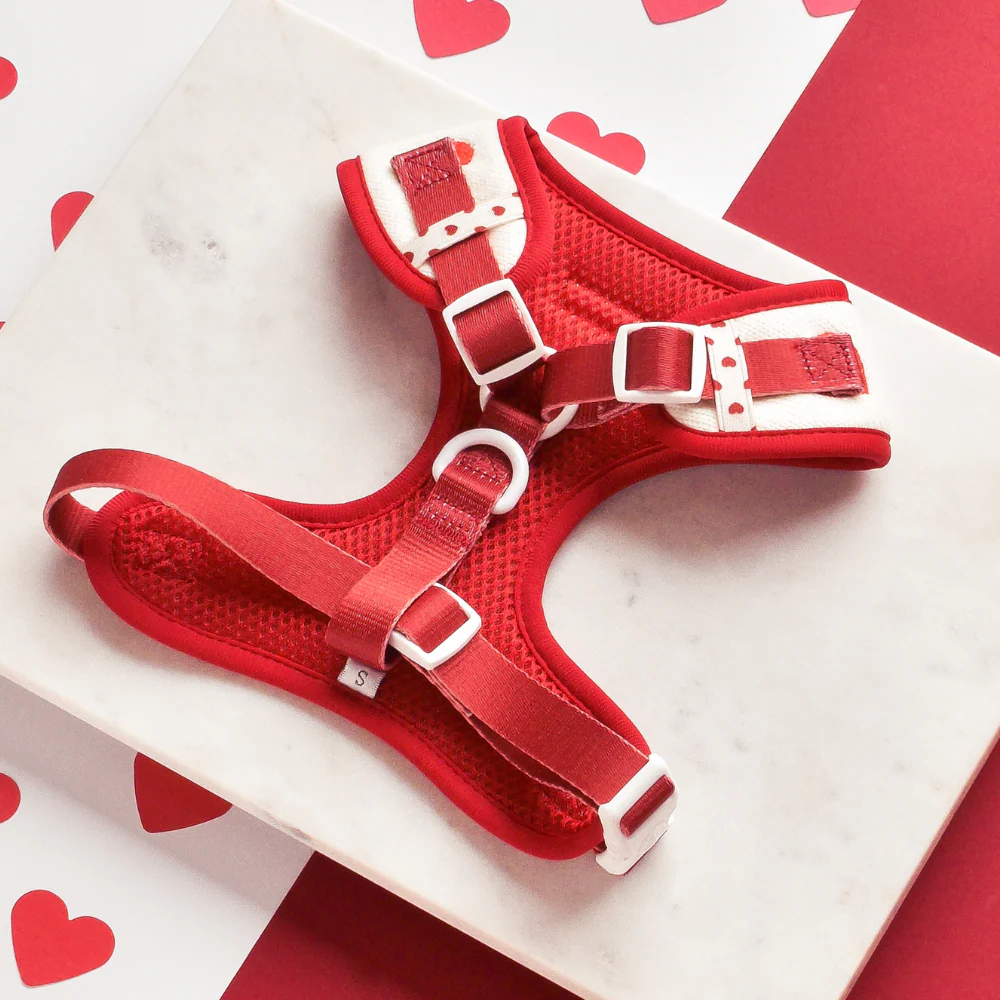 Hugs & Knitted Adjustable Neck Harness, Lead & Collar Bundle - Image 5
