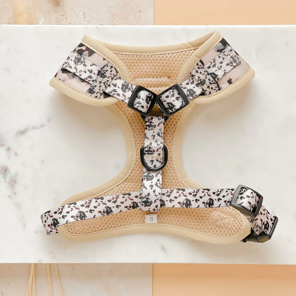 Ivory Tort Adjustable Neck Harness, Lead & Collar Bundle - Image 4