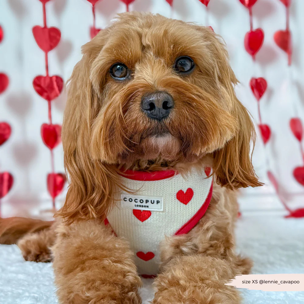 Hugs & Knitted Adjustable Neck HARNESS - Image 11