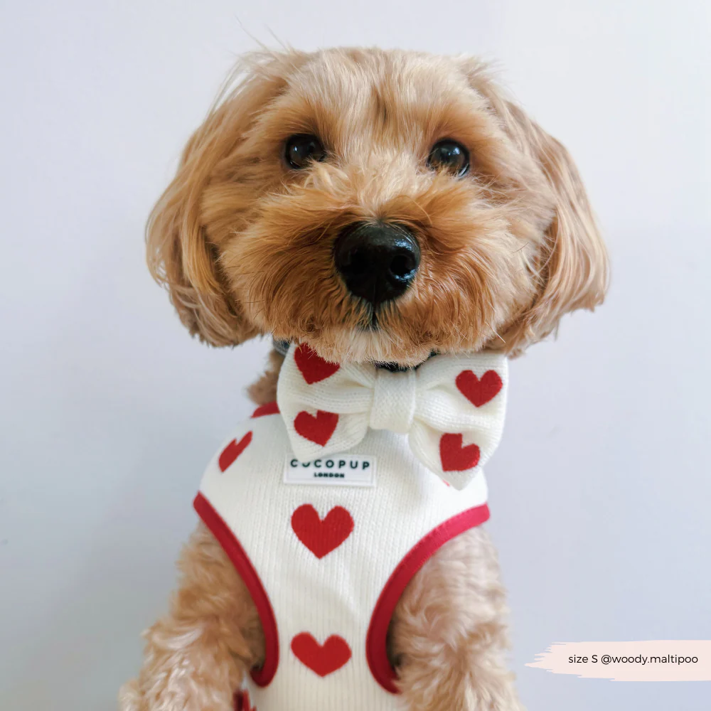 Hugs & Knitted Adjustable Neck HARNESS - Image 9