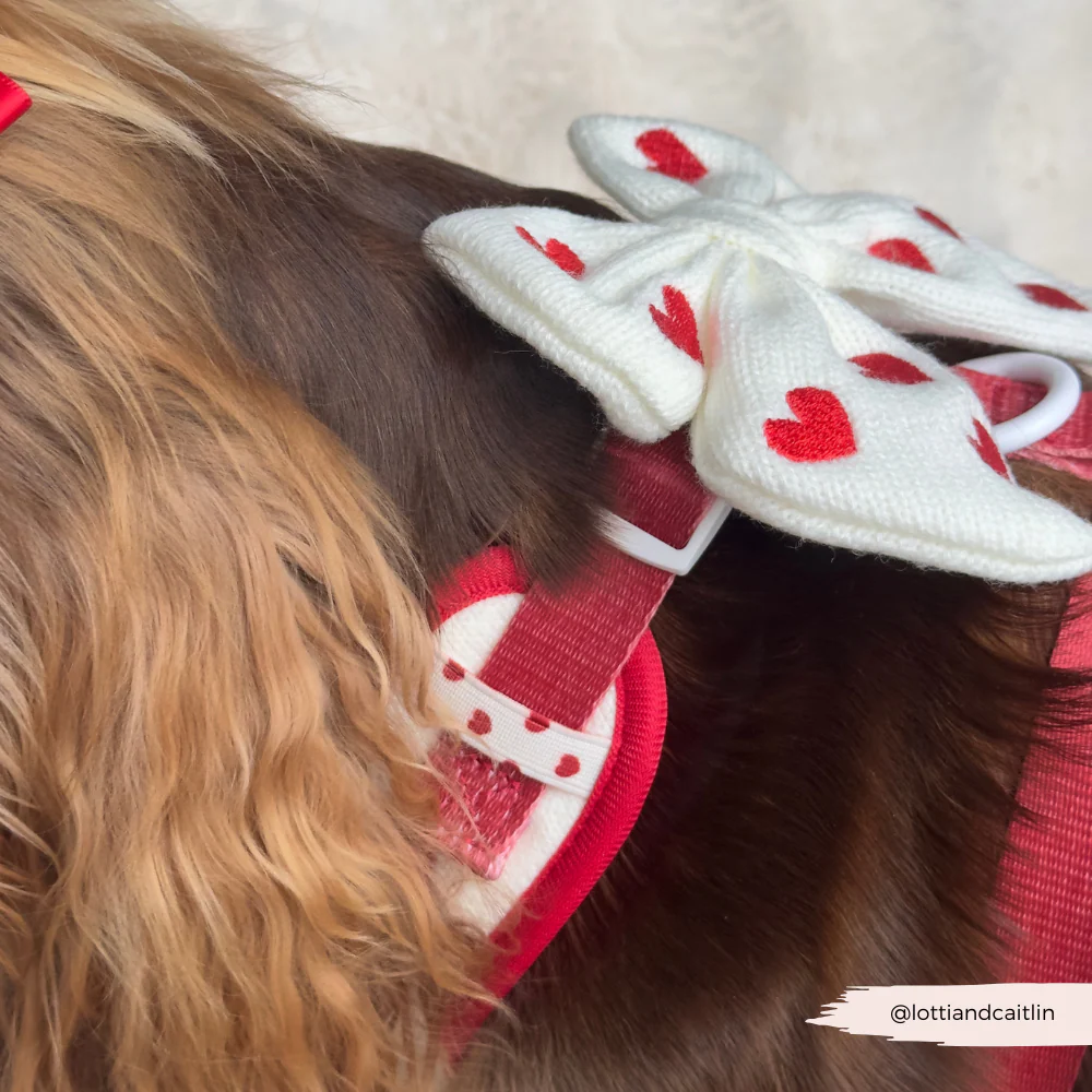 Hugs & Knitted Sailor Bow Tie - Image 5