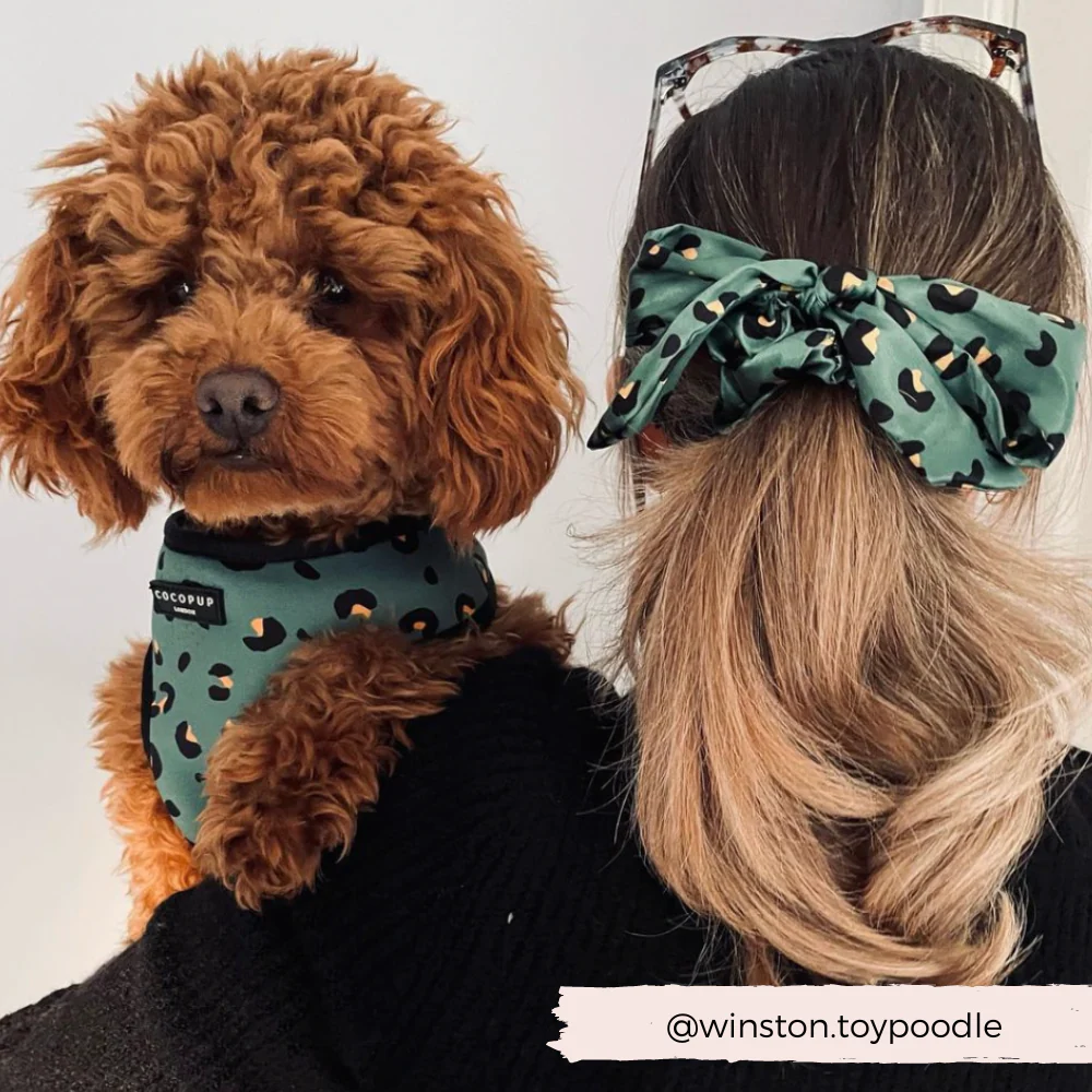 Khaki Leopard Adjustable Neck Harness, Lead & Collar Bundle - Image 9