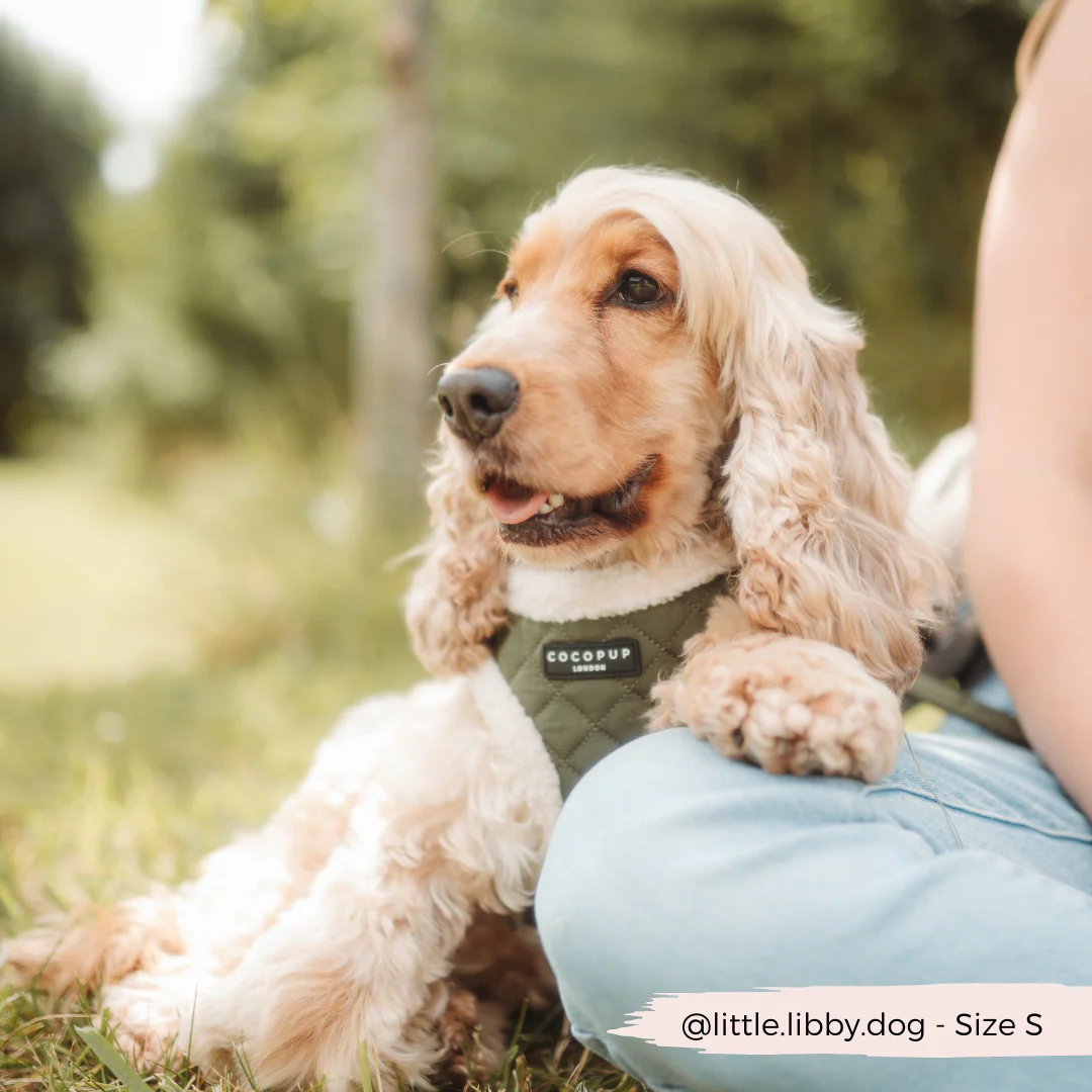 Khaki Quilted Adjustable Neck HARNESS - Image 12