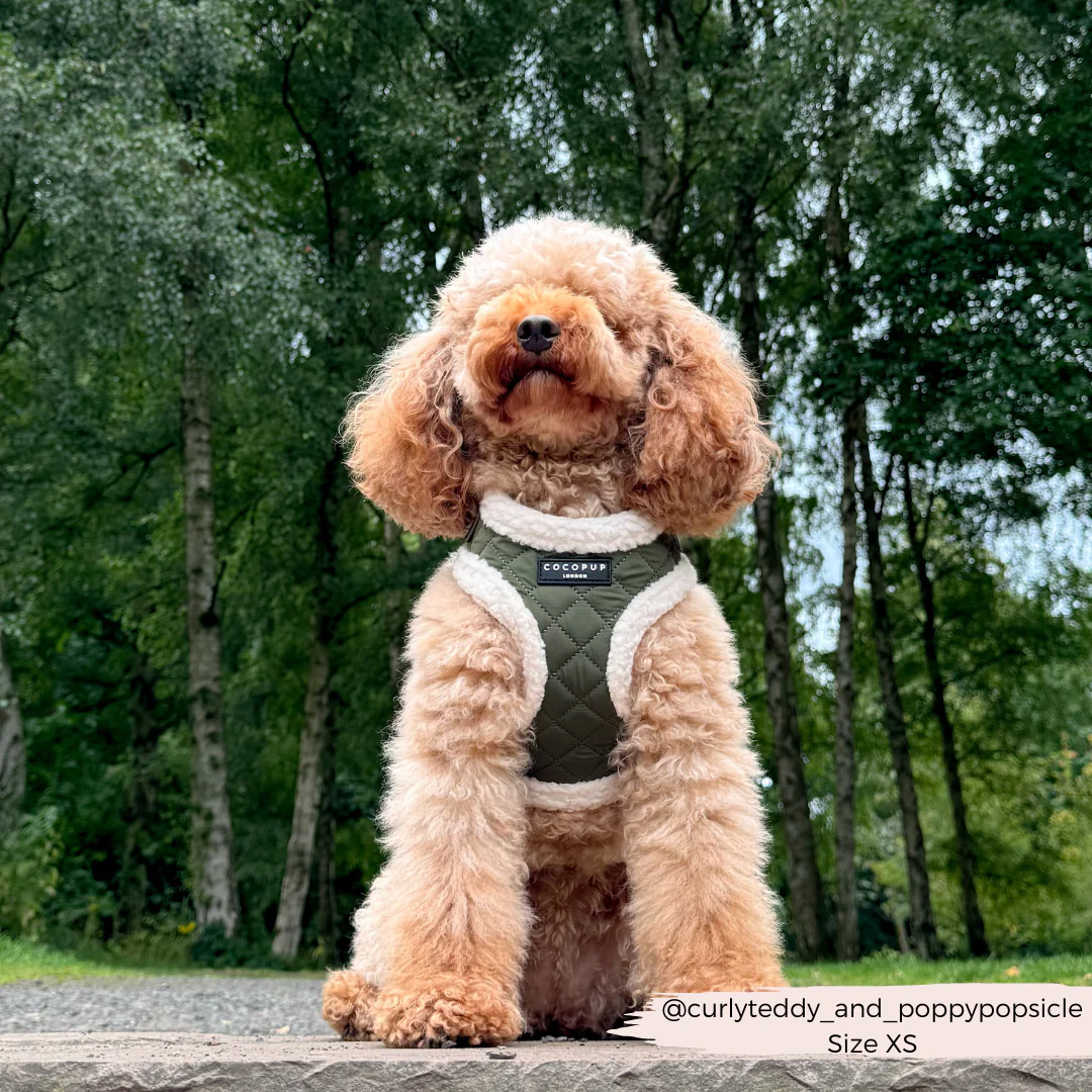 Khaki Quilted Adjustable Neck HARNESS - Image 14