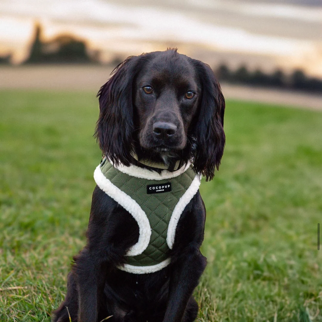 Khaki Quilted Adjustable Neck HARNESS - Image 21