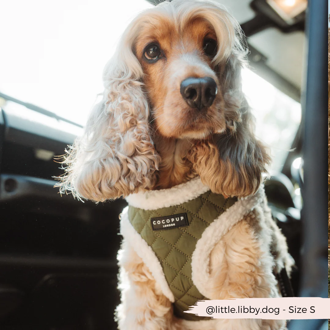 Khaki Quilted Adjustable Neck HARNESS - Image 5