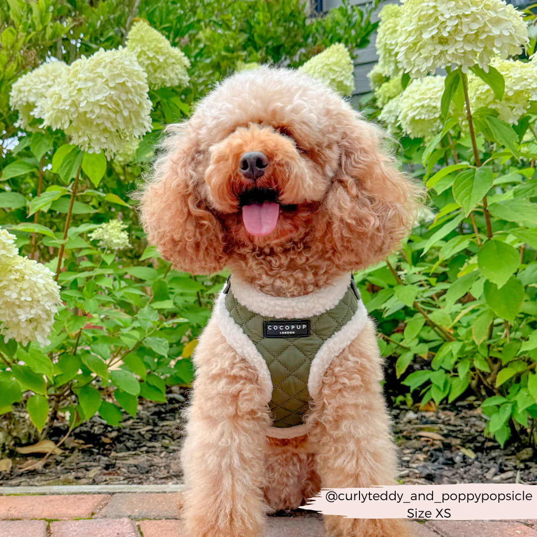 Khaki Quilted Adjustable Neck HARNESS - Image 6
