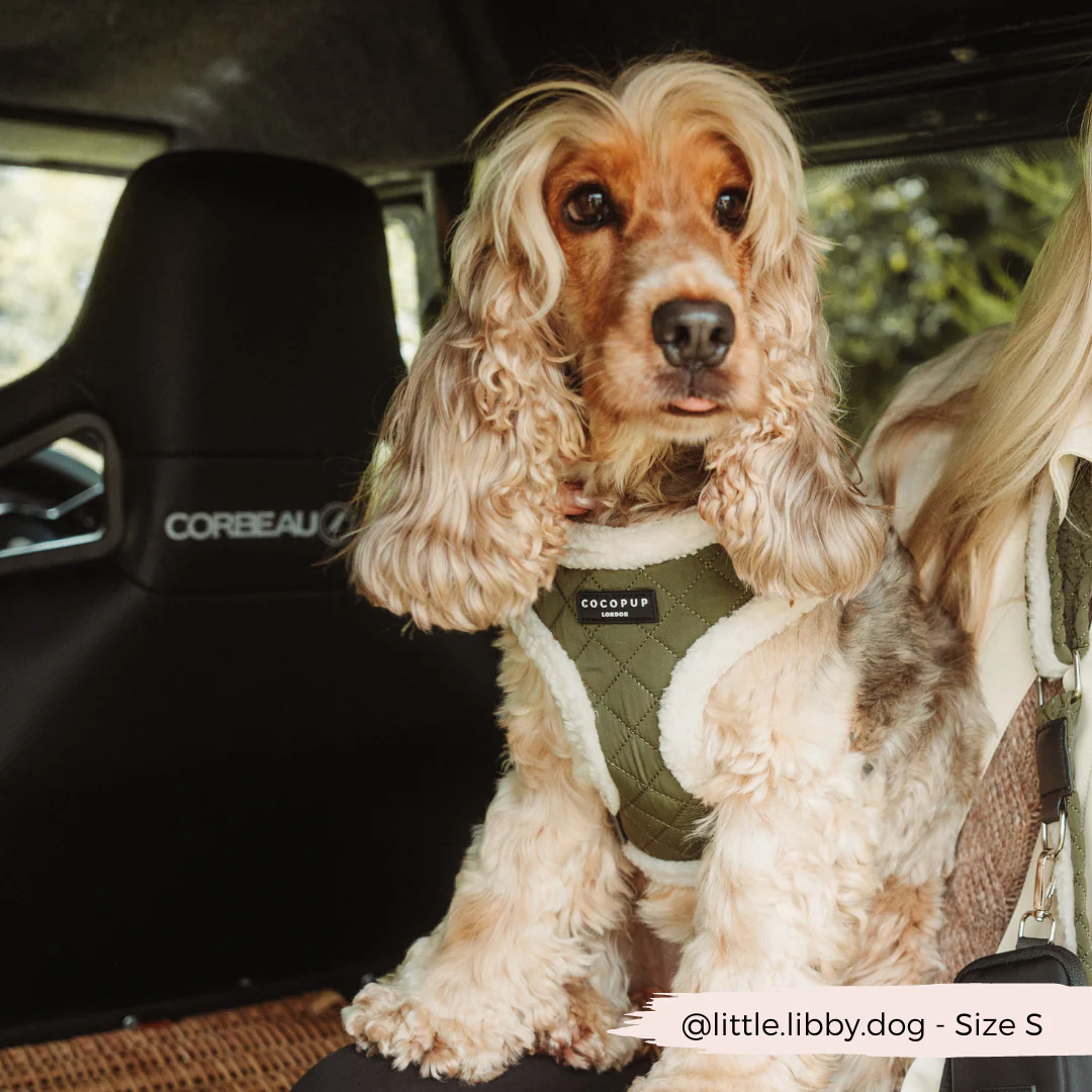 Khaki Quilted Adjustable Neck HARNESS - Image 9