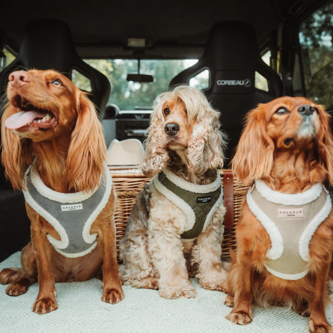 Khaki Quilted Adjustable Neck Harness, Lead & Collar Bundle - Image 7