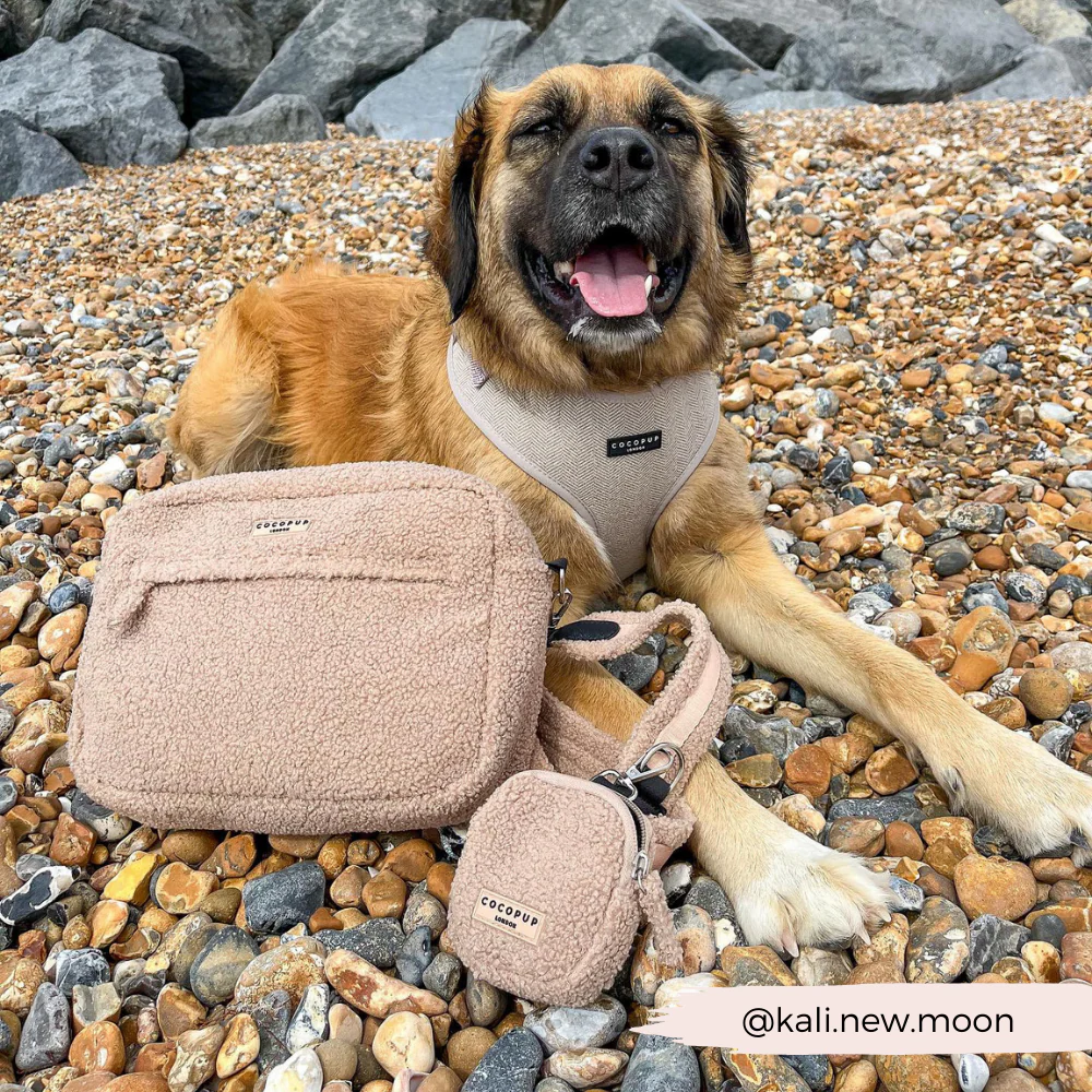 Large Dog Walking Bag - Teddy Rupert - Image 9