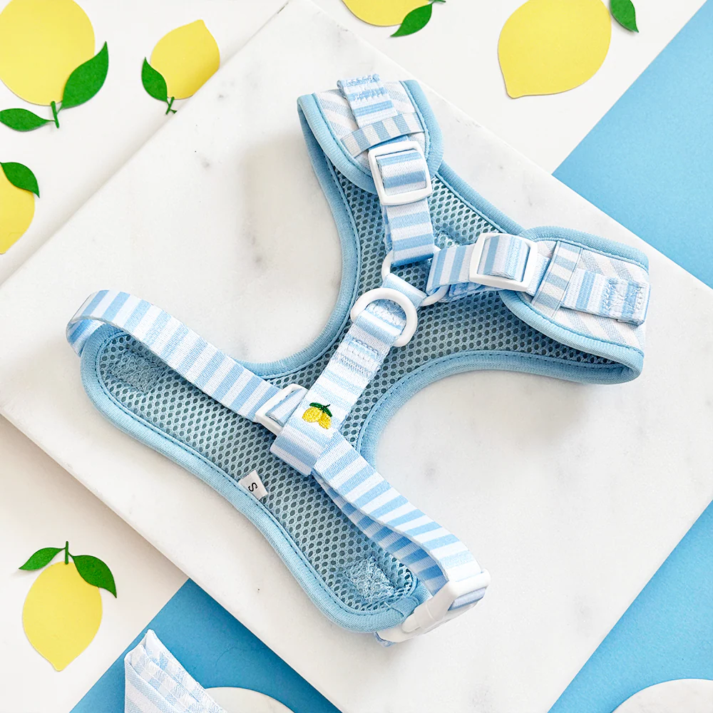 Living La Vida Lemon Adjustable Neck HARNESS - Image 3