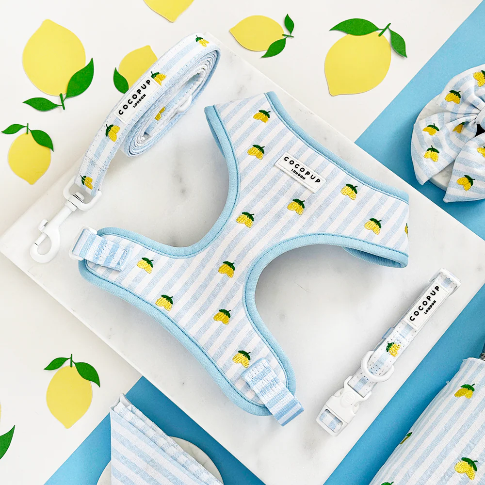 Living La Vida Lemon Adjustable Neck HARNESS - Image 4