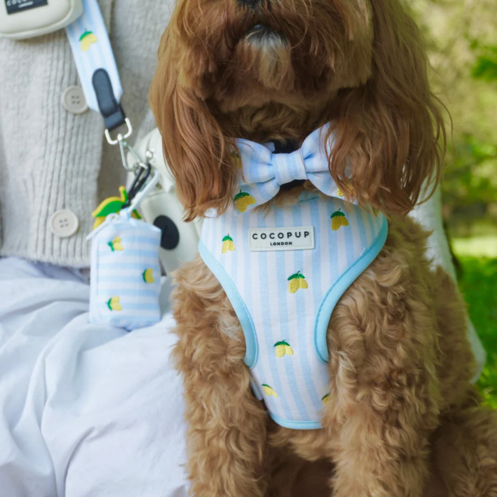 Living La Vida Lemon Bow Tie - Image 6