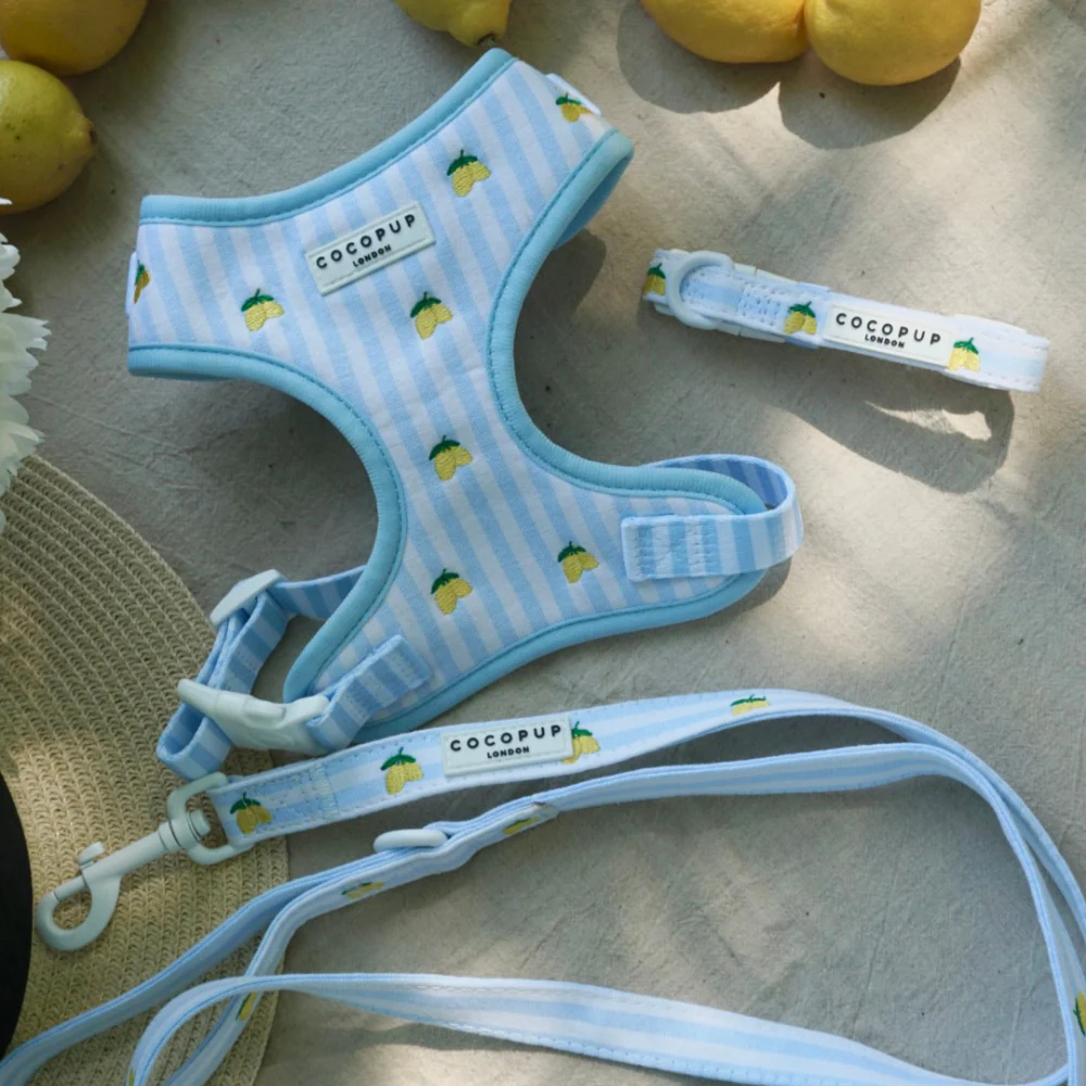 Living La Vida Lemon Adjustable Neck Harness, Lead & Collar Bundle - Image 14