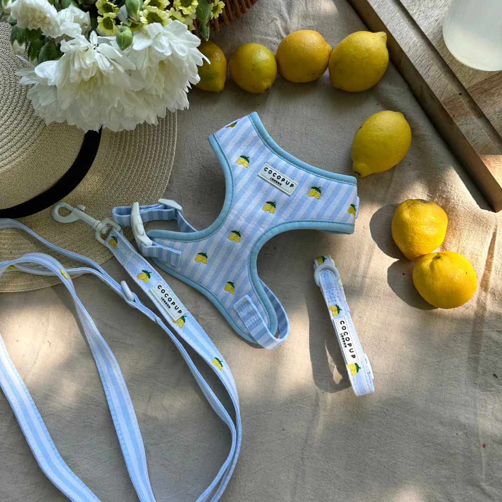 Living La Vida Lemon Lead - Image 5
