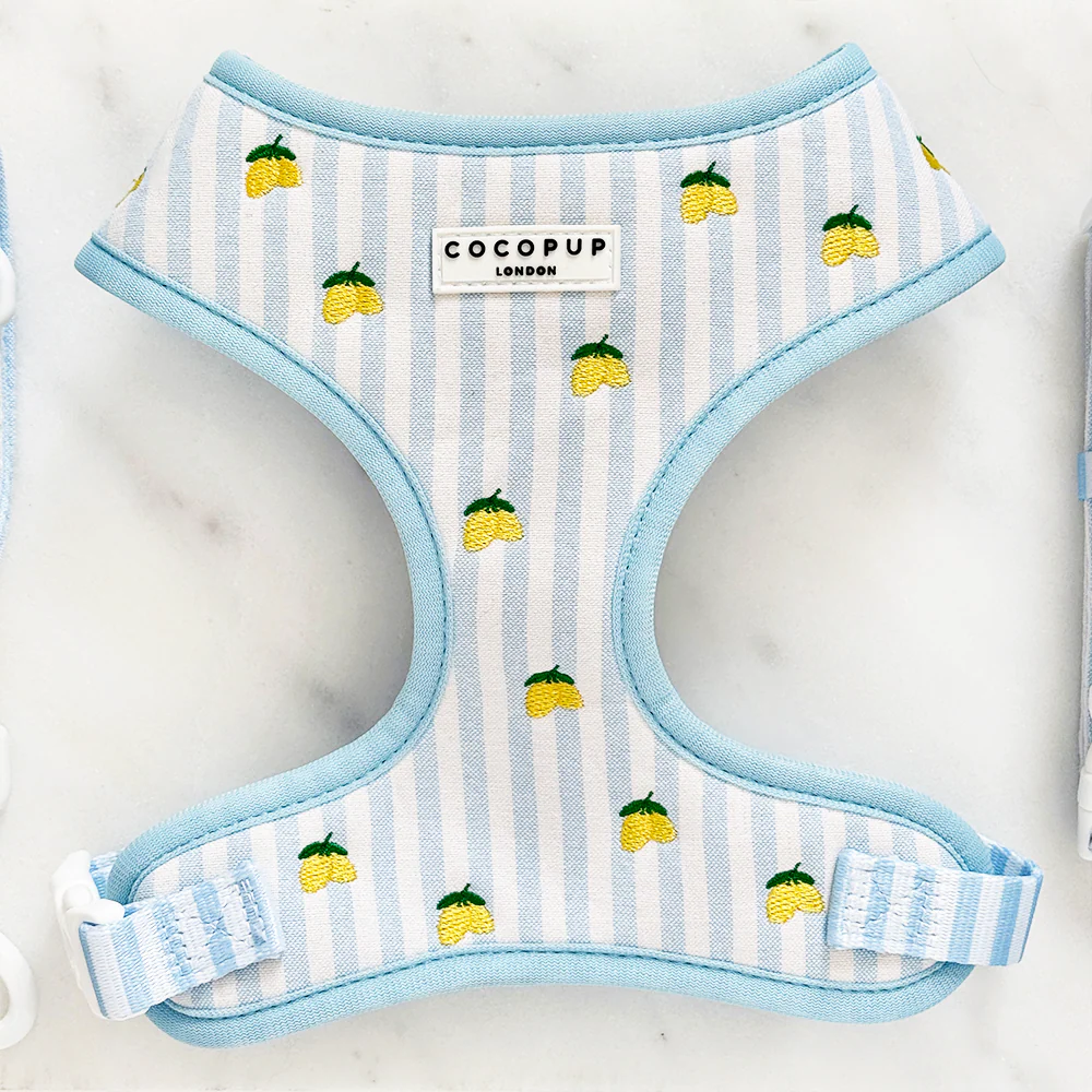Living La Vida Lemon Adjustable Neck Harness, Lead & Collar Bundle - Image 3