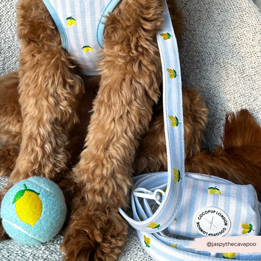 Living La Vida Lemon Poop Bag Holder - Image 3