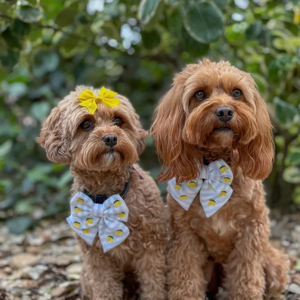 Living La Vida Lemon Sailor Bow Tie - Image 7