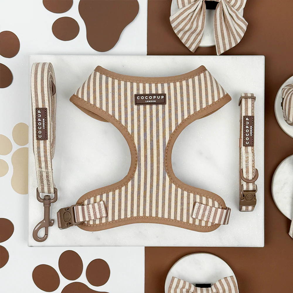 London Linen Stripes Adjustable Neck Harness, Lead & Collar Bundle