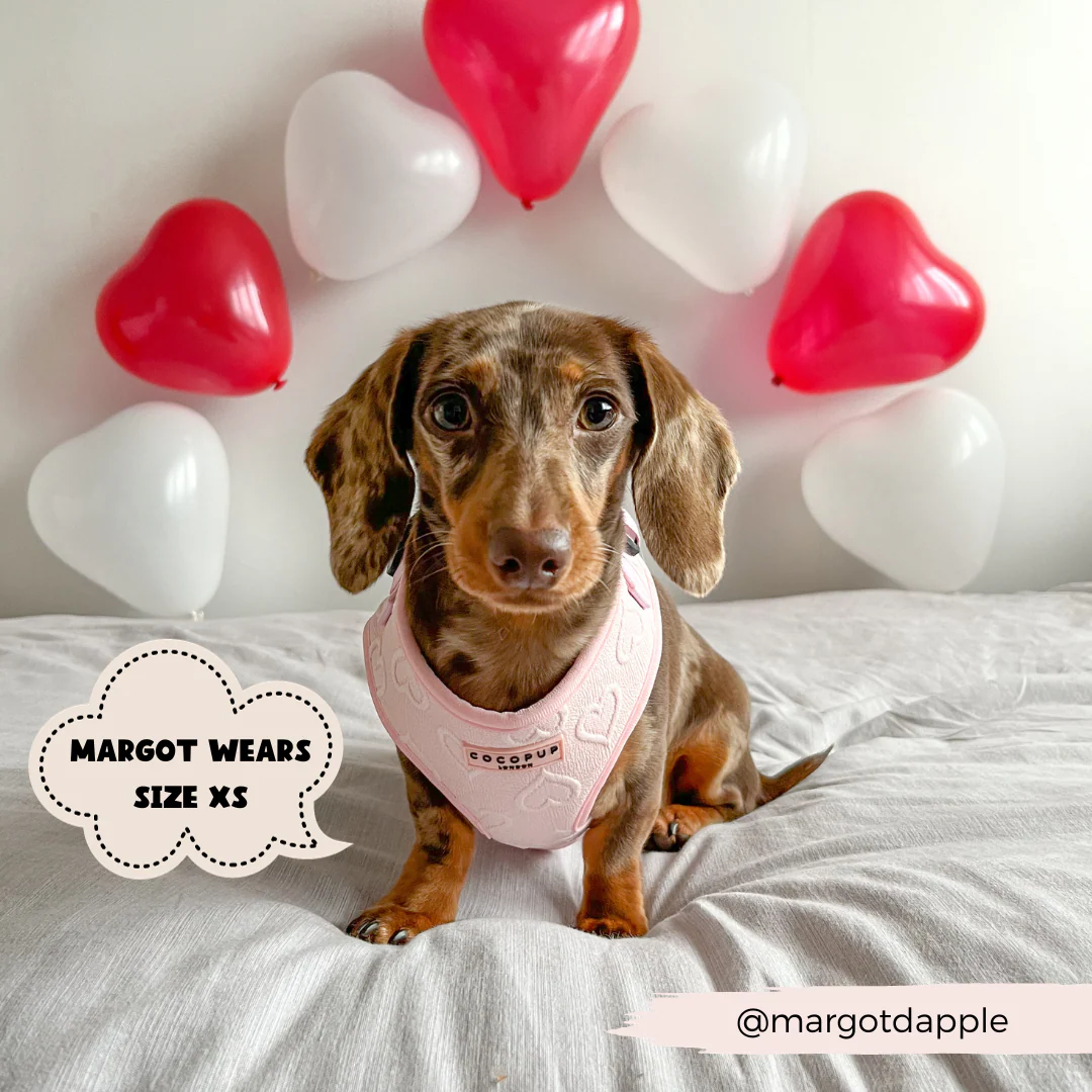 Luxe Adjustable Neck HARNESS - Baby Pink Heart - Image 15