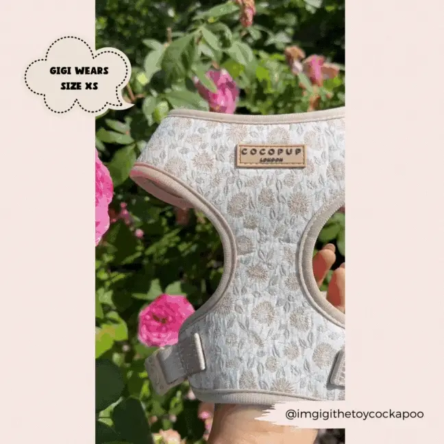 Luxe Adjustable Neck HARNESS - Garden Meadow - Image 19