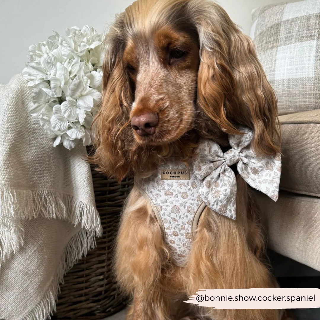 Luxe Adjustable Neck HARNESS - Garden Meadow - Image 24