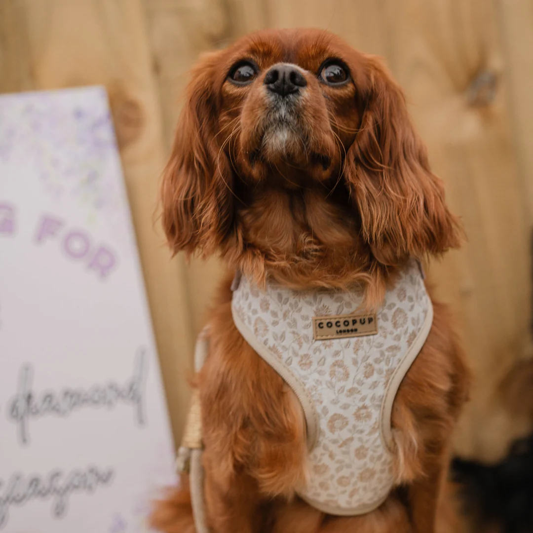 Luxe Adjustable Neck HARNESS - Garden Meadow - Image 25