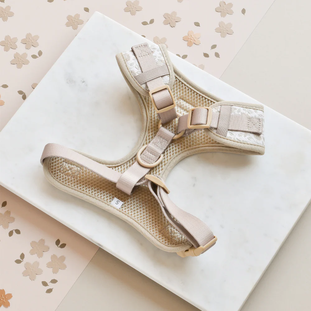 Luxe Adjustable Neck HARNESS - Garden Meadow - Image 3