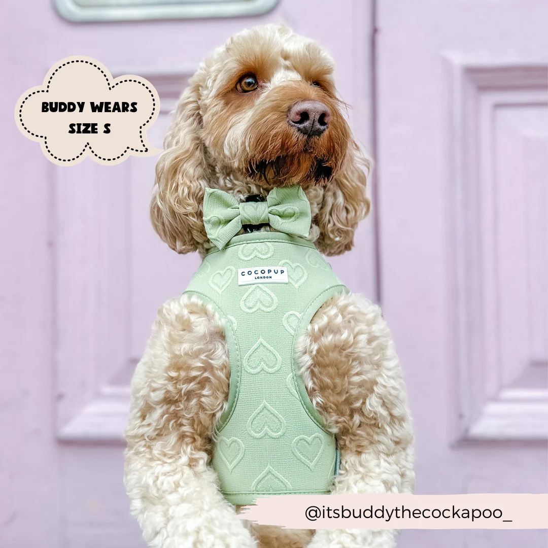 Luxe Adjustable Neck HARNESS - Sage Heart - Image 10
