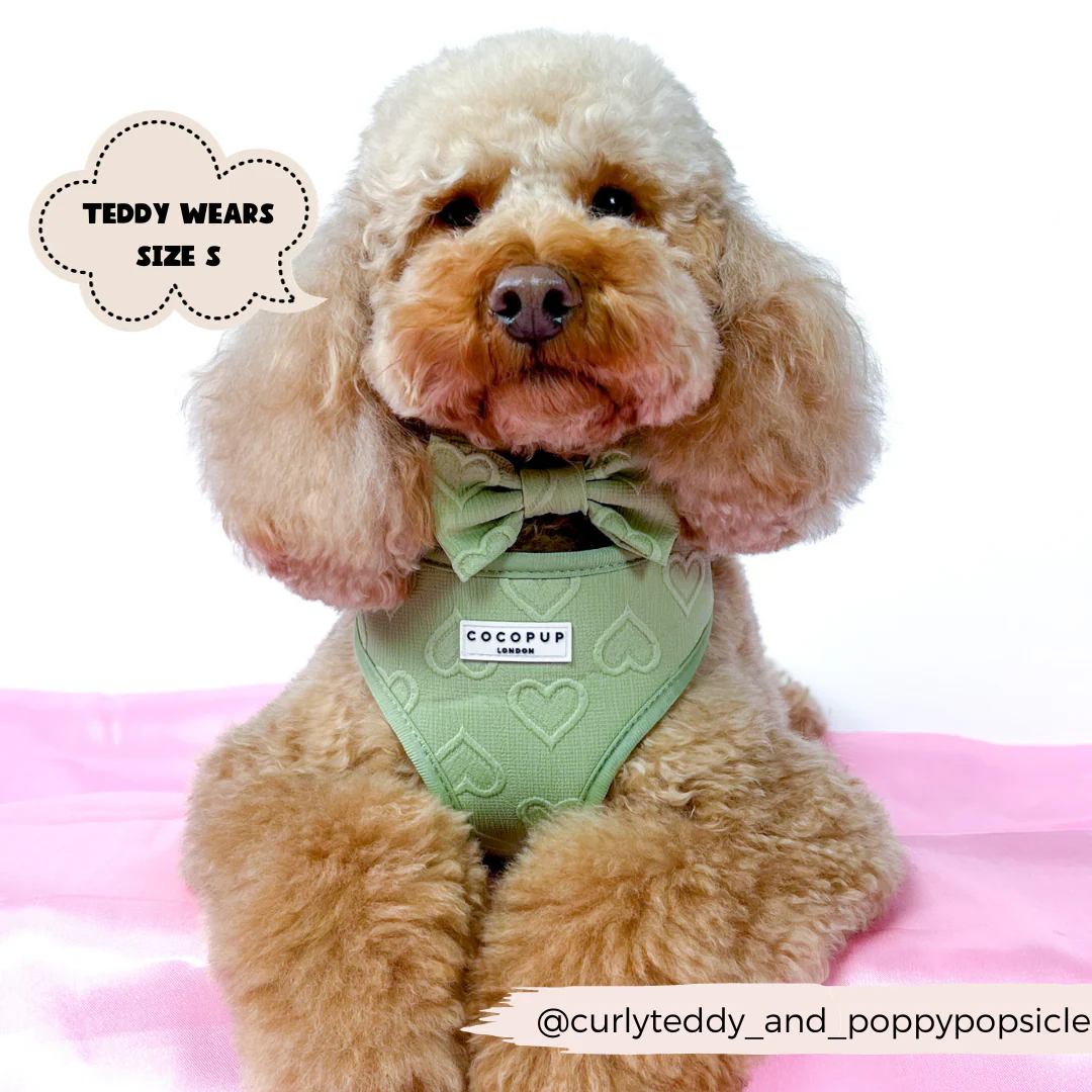 Luxe Adjustable Neck HARNESS - Sage Heart - Image 11