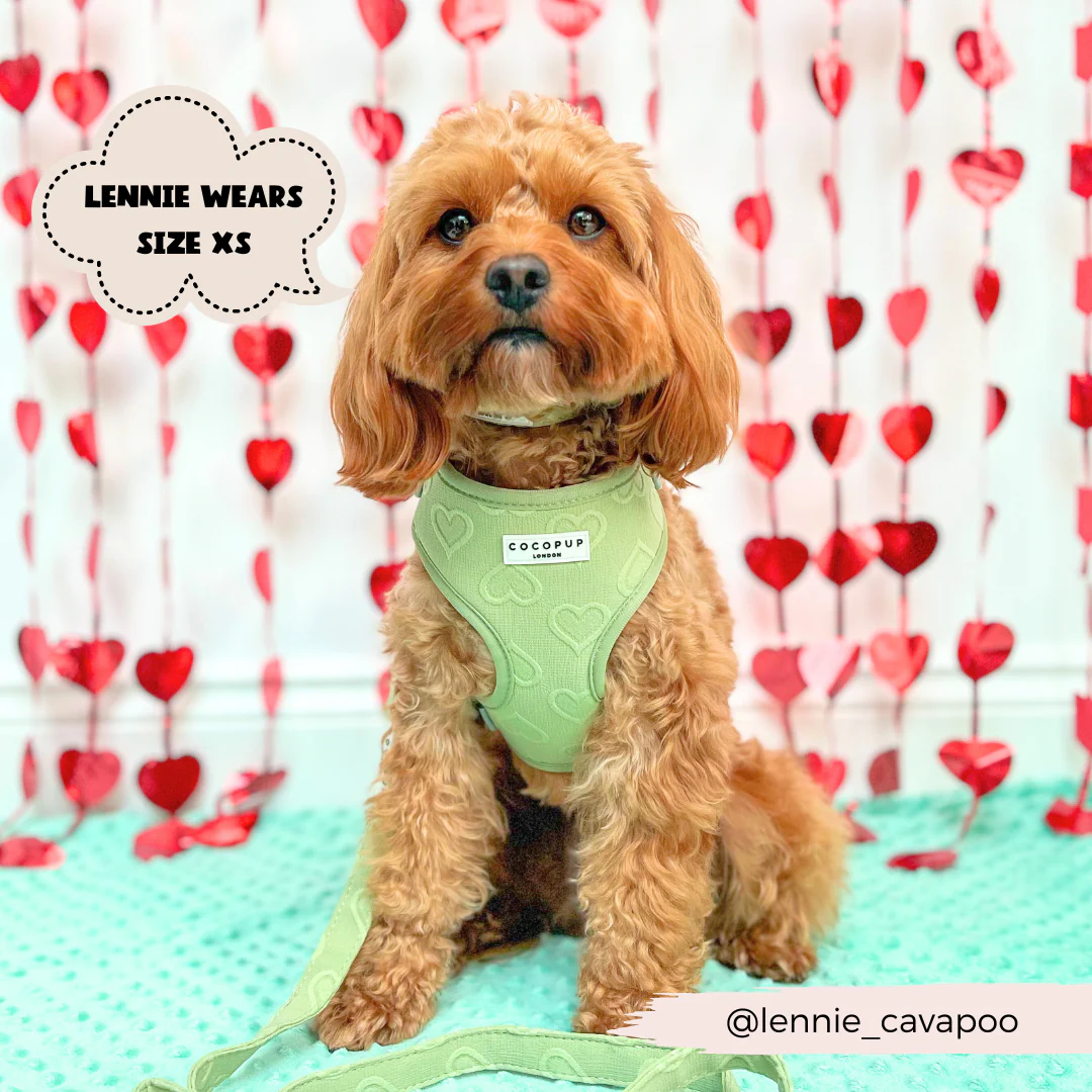 Luxe Adjustable Neck HARNESS - Sage Heart - Image 7
