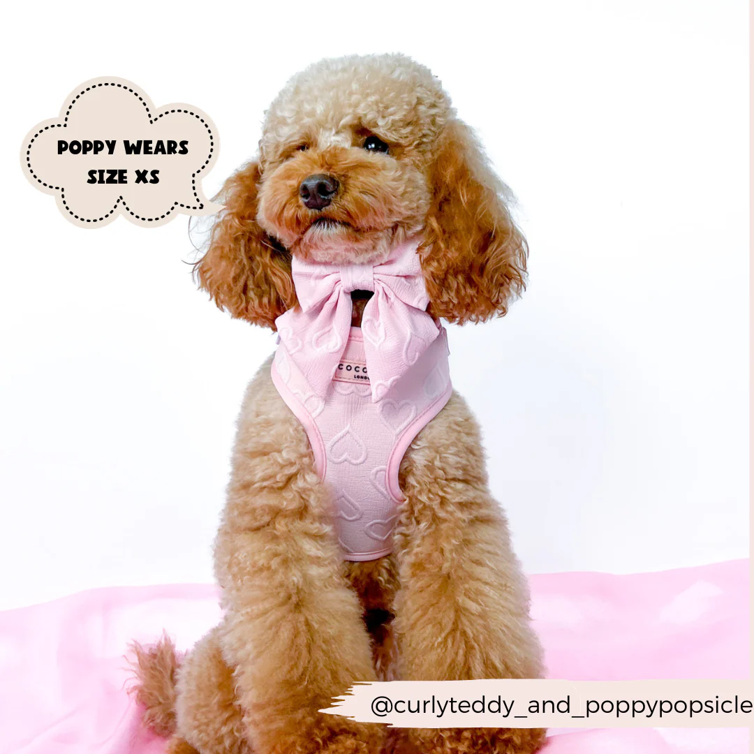 Luxe Baby Pink Heart Adjustable Neck Harness, Lead & Collar Bundle - Image 9
