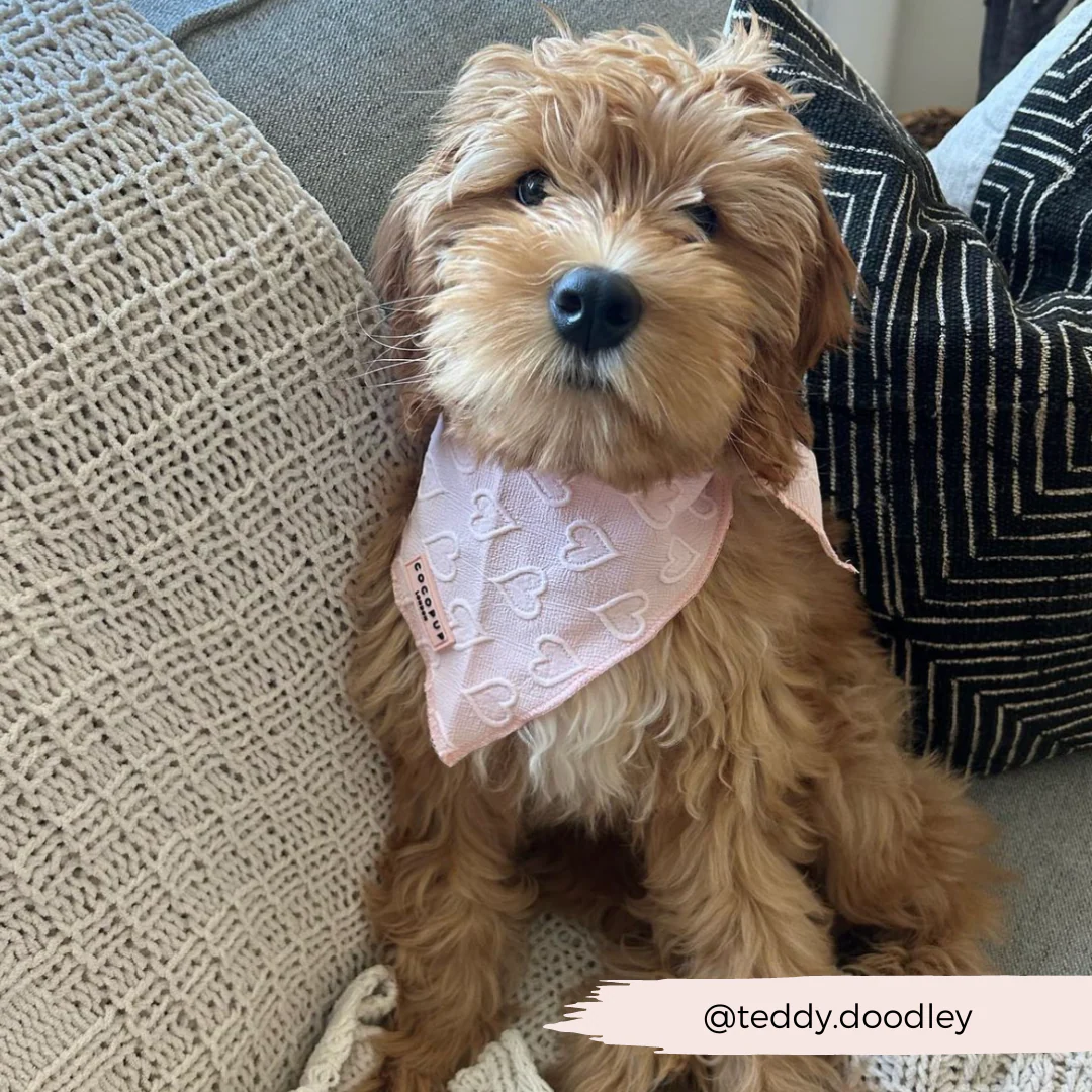 Baby Pink Heart Bandana - Image 6