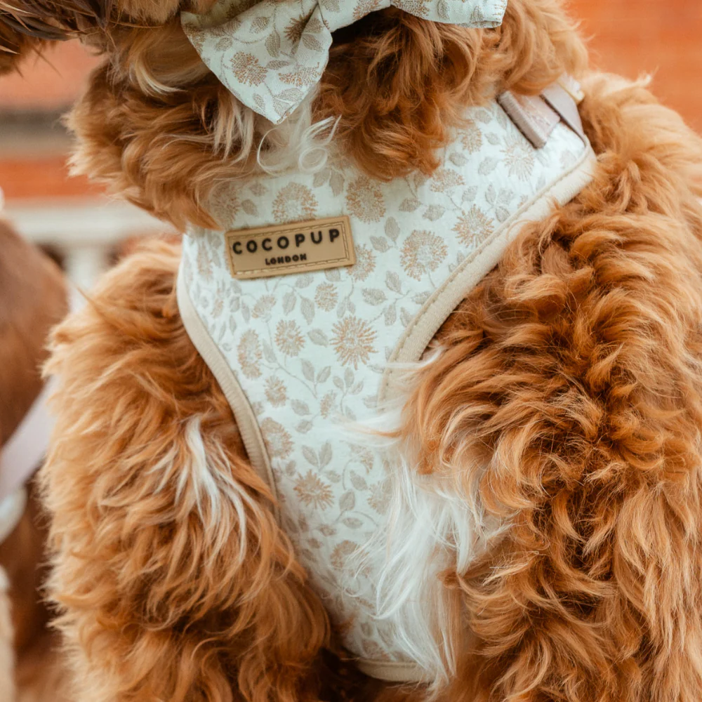 Luxe Adjustable Neck HARNESS - Garden Meadow - Image 7
