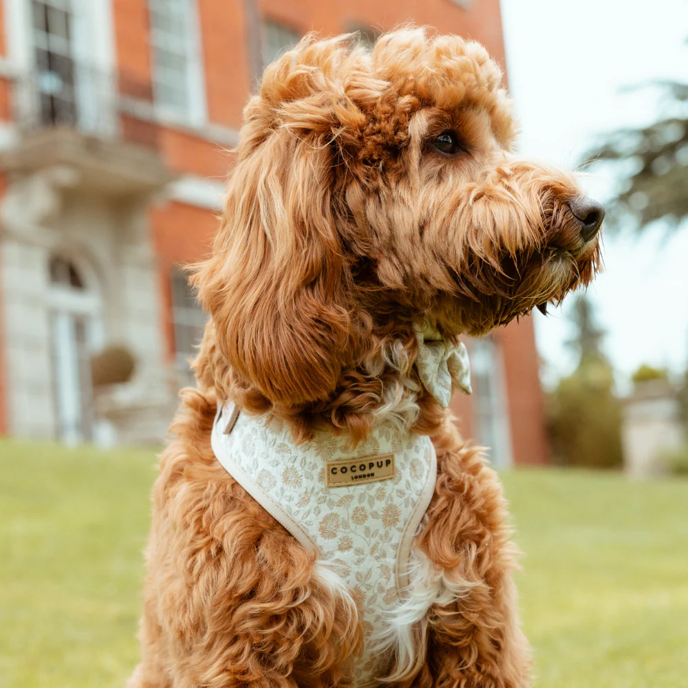 Luxe Adjustable Neck HARNESS - Garden Meadow - Image 6