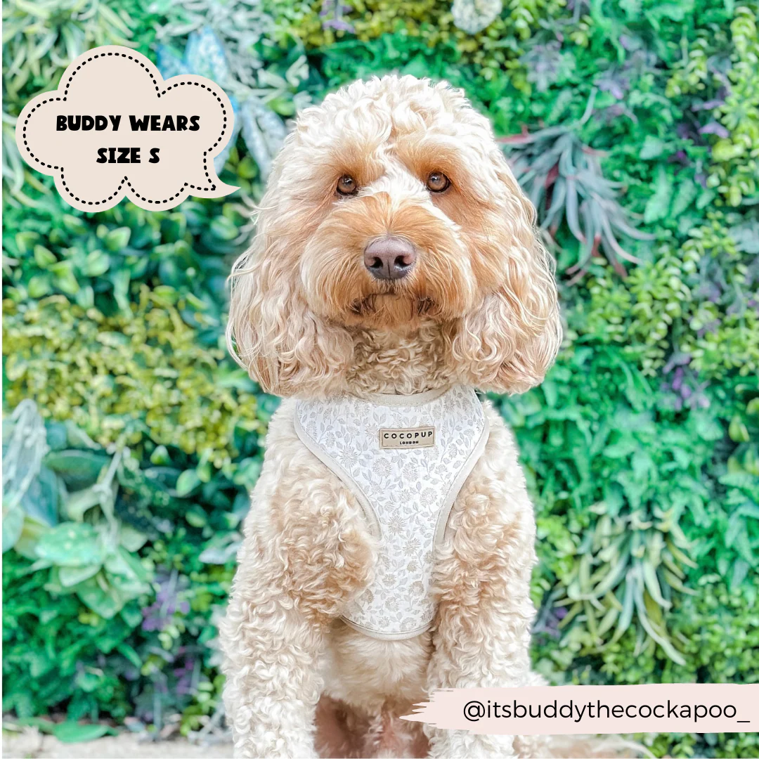 Luxe Adjustable Neck HARNESS - Garden Meadow - Image 12