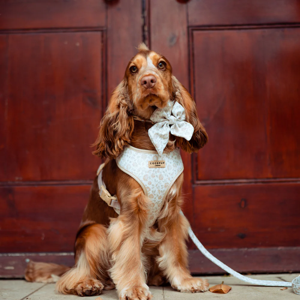 Luxe Adjustable Neck HARNESS - Garden Meadow - Image 8
