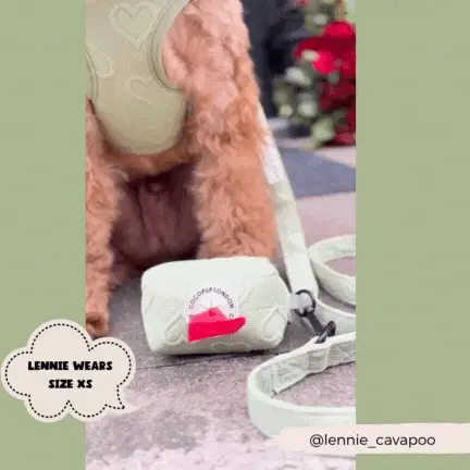Luxe Poop Bag Holder - Sage Heart - Image 4