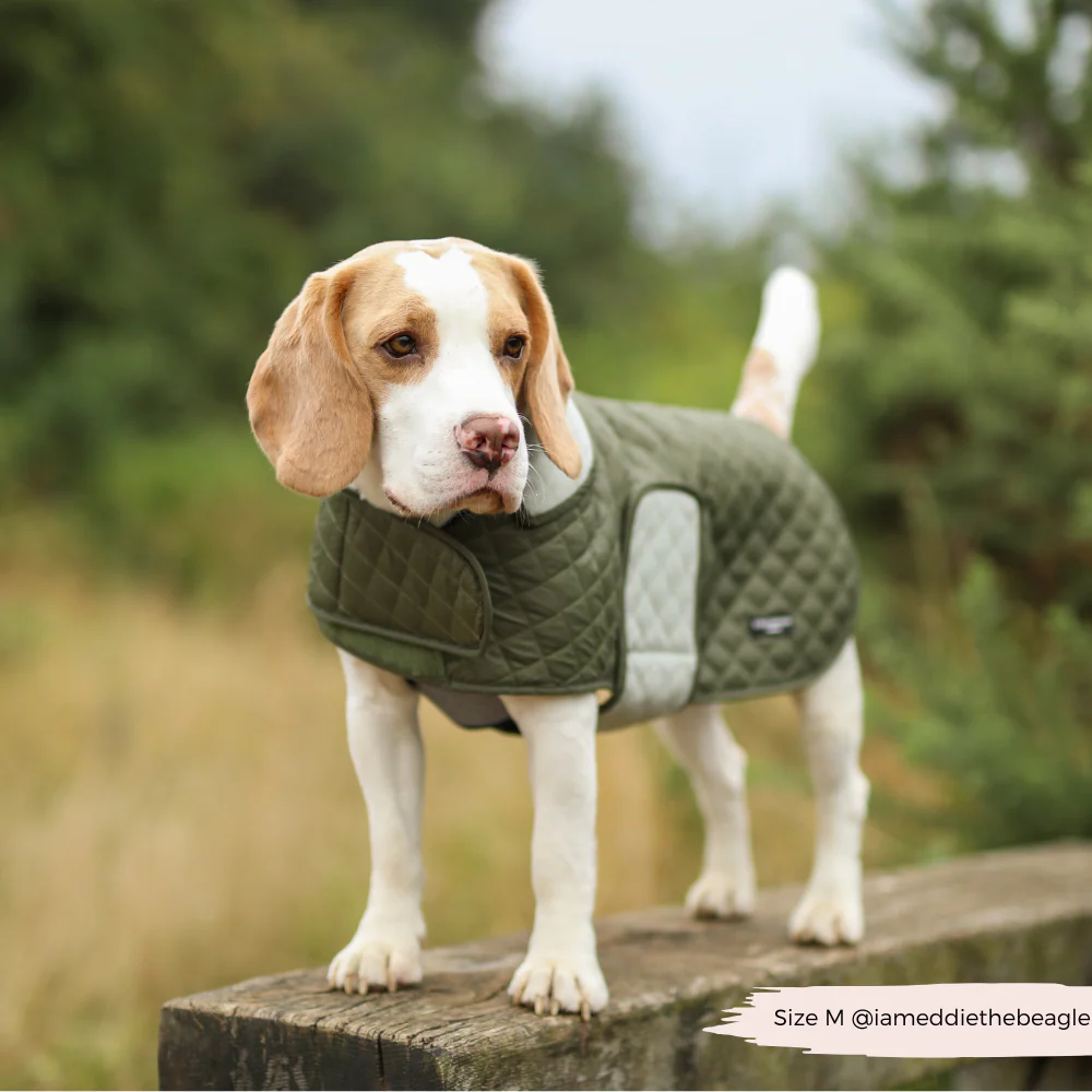 Quilted Dog Coat - Country Khaki - Image 12